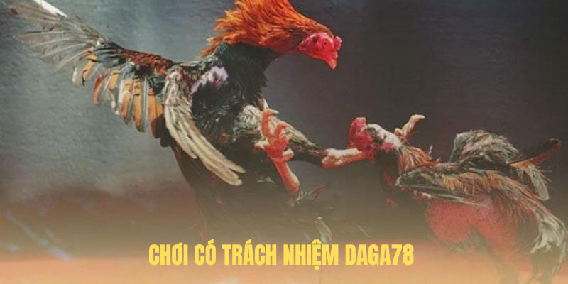 Chơi Có Trách Nhiệm DAGA78 – Nền Tảng Cá Cược An Toàn Và Văn Minh