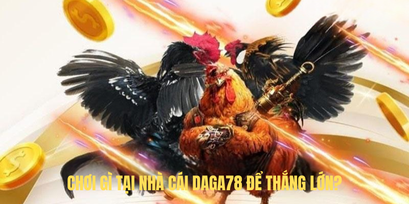 Chơi Gì Tại Nhà Cái DAGA78 Để Thắng Lớn?