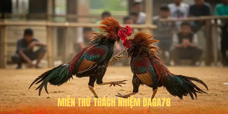 Miễn Trừ Trách Nhiệm DAGA78 - Những Điều Người Chơi Cần Biết