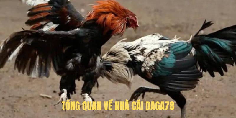 Tổng Quan Về Nhà Cái DAGA78